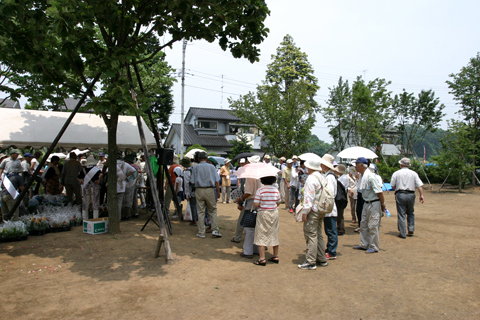 あじさい祭り4:草花の無料抽選会 あじさい祭り4:草花の無料抽選会