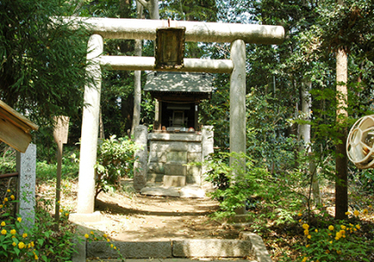市姫神社の画像です。 市姫神社