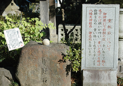 重軽石の画像です。 重軽石