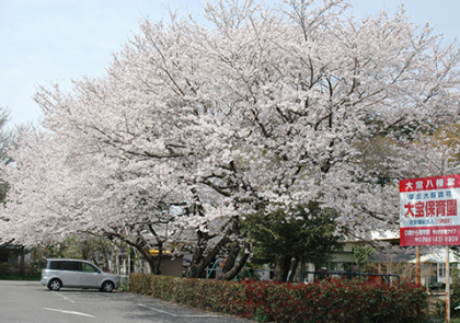 大宝保育園の画像です。 大宝保育園