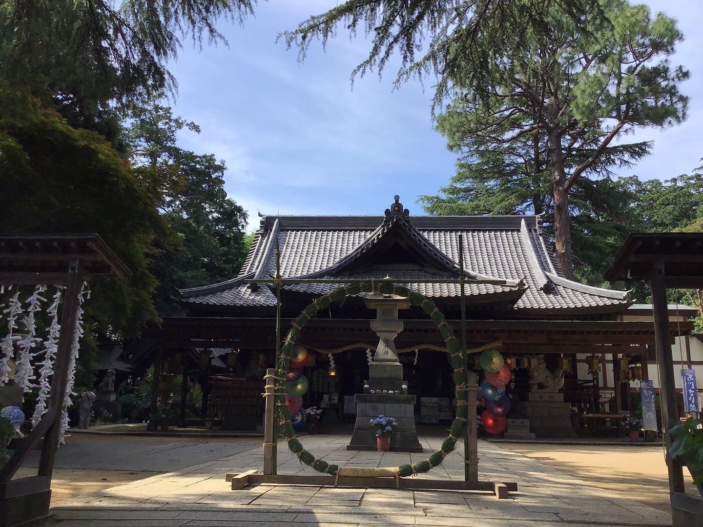 夏越しの大祓とあじさい