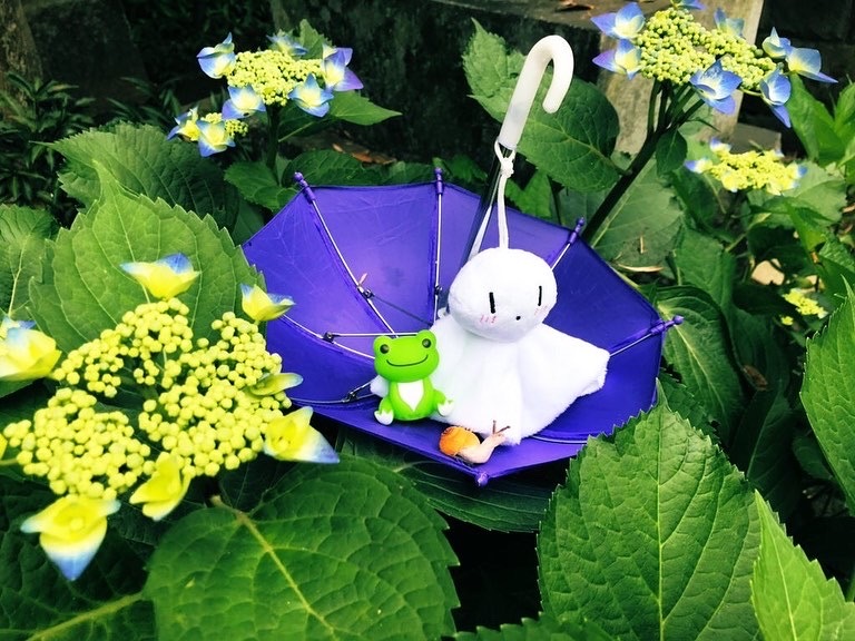 関東最古の八幡神社 お祓い ご祈祷 ご祈願の大宝八幡宮 茨城県下妻市 最新情報