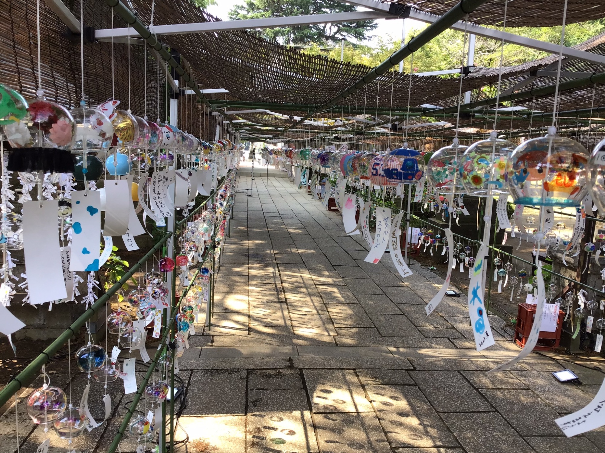 展示中の風鈴　風に揺れて風流