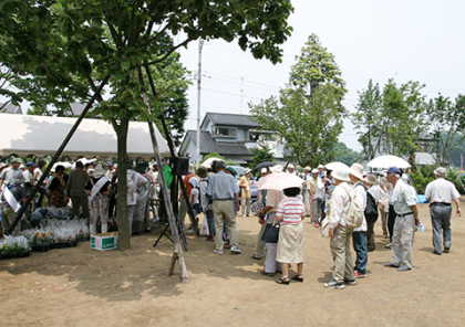 大宝八幡宮の祭と四季（４〜６月）