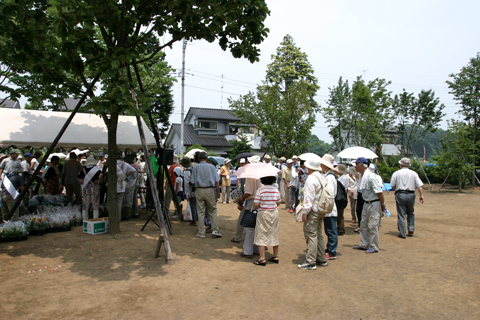 あじさい祭りにおける草花の無料抽選会