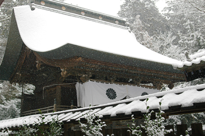 御本殿も雪化粧