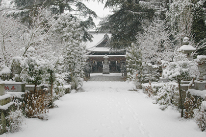 境内の雪化粧