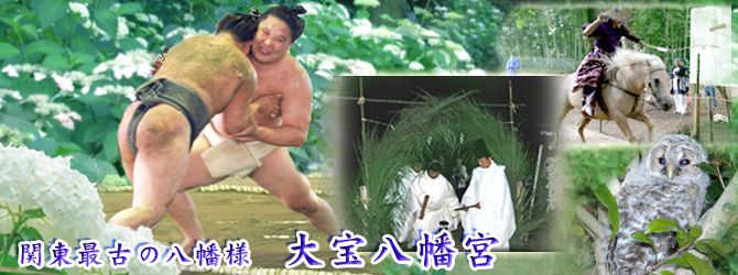 夏：あじさい・相撲・大祓・ふくろう・なんじゃもんじゃ・おがたま