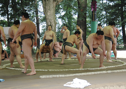 大宝八幡宮の祭と四季（４〜６月）